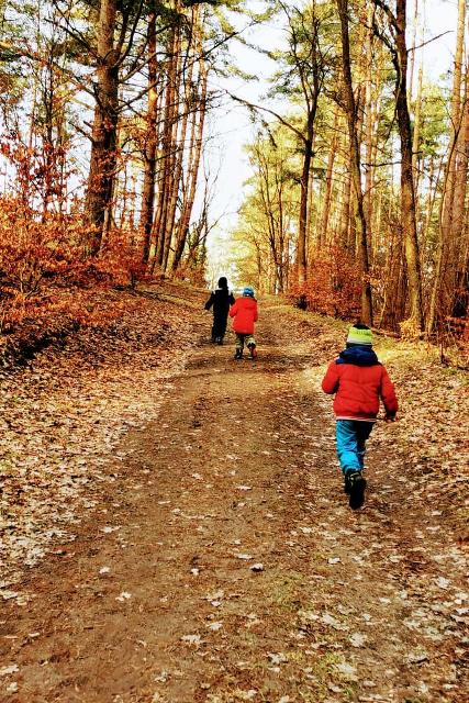 Kinder gehen im Wald spazieren