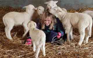 Kinderdorfkind freut sich mitten im Rudel Lämmer