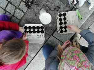 Tomatenpflanze 4