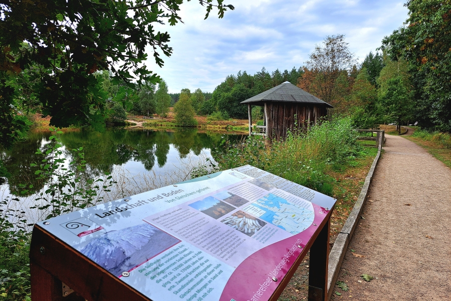 Rund um Angelbecksteich und durch die angrenzende Heidefläche führt ein kurzer, barrierefreier Rundweg mit abwechslungsreicher Landschaft.